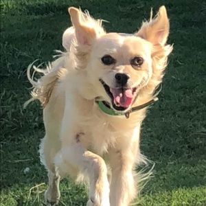 Meet your Posher, Laura